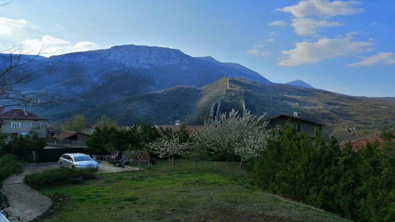 Къща За Гости "Мечта" Lyutibrod Exterior photo